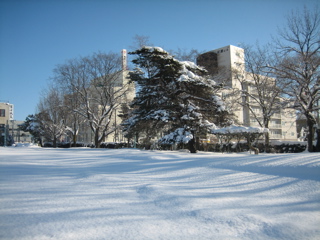 IMG_1855.jpg