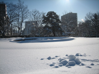 IMG_1858.jpg