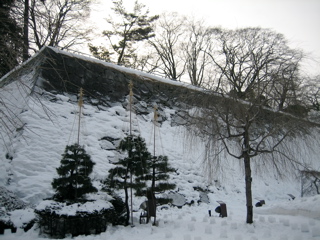 IMG_2330.jpg